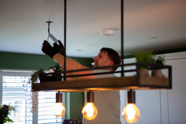 Best Home Electrical Repair  in Danvers, IL