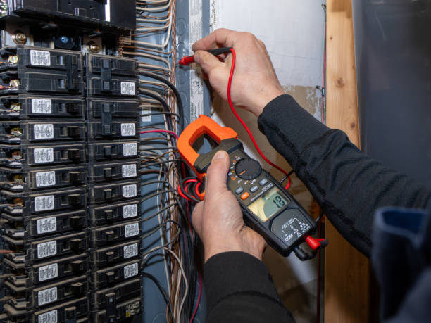 Best Electrical System Inspection  in Danvers, IL