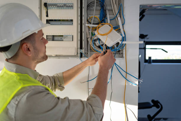 Best Electric Panel Repair  in Danvers, IL